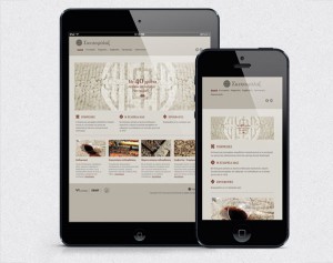 Skeuofilax Responsive Website Developmentt